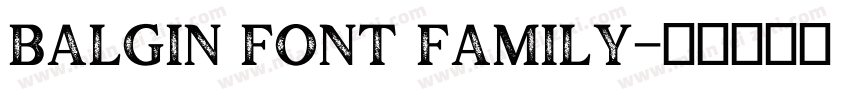 balgin font family字体转换